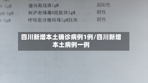 四川新增本土确诊病例1例/四川新增本土病例一例-第3张图片