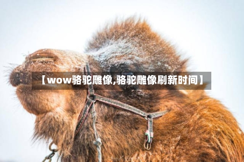 【wow骆驼雕像,骆驼雕像刷新时间】-第2张图片