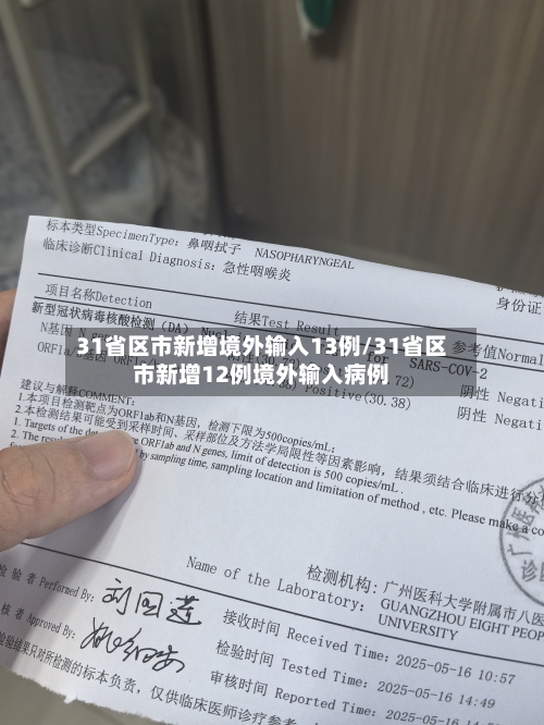 31省区市新增境外输入13例/31省区市新增12例境外输入病例