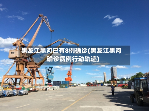 黑龙江黑河已有8例确诊(黑龙江黑河确诊病例行动轨迹)