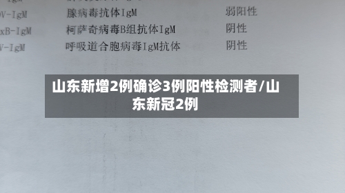 山东新增2例确诊3例阳性检测者/山东新冠2例