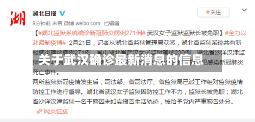 关于武汉确诊最新消息的信息-第2张图片
