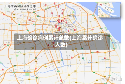 上海确诊病例累计总数(上海累计确诊人数)-第3张图片