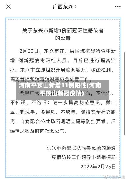河南平顶山新增11例阳性(河南平顶山新冠疫情)-第2张图片
