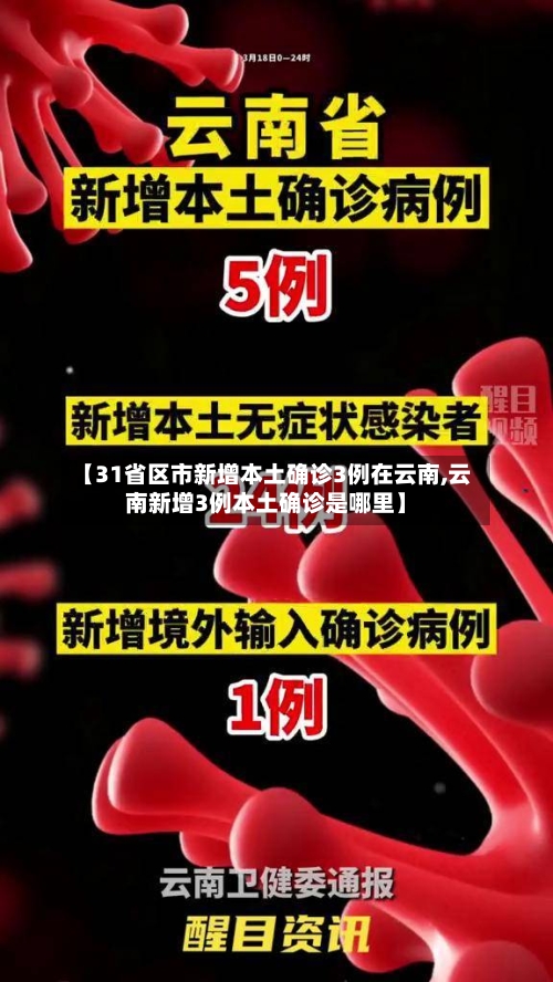 【31省区市新增本土确诊3例在云南,云南新增3例本土确诊是哪里】