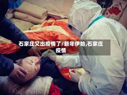 石家庄又出疫情了/新年伊始,石家庄疫情-第3张图片