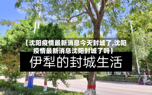 【沈阳疫情最新消息今天封城了,沈阳疫情最新消息沈阳封城了吗】-第2张图片