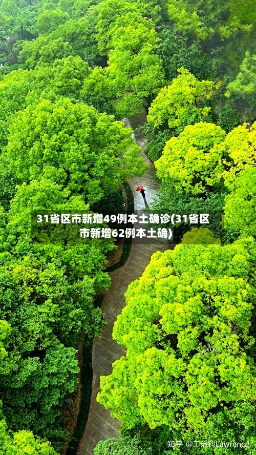 31省区市新增49例本土确诊(31省区市新增62例本土确)