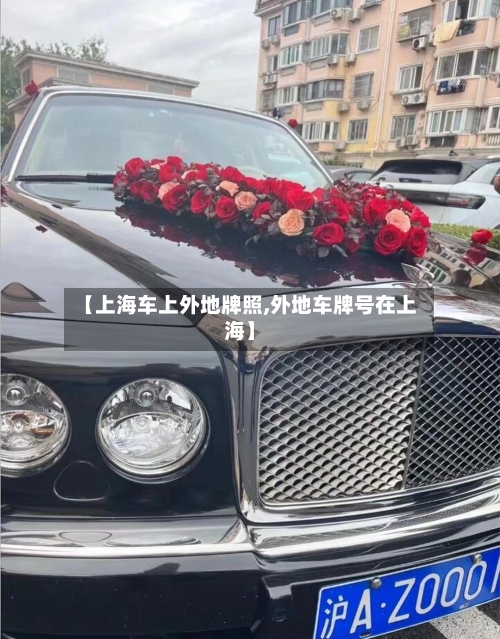 【上海车上外地牌照,外地车牌号在上海】