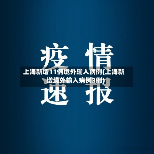 上海新增11例境外输入病例(上海新增境外输入病例3例)-第2张图片