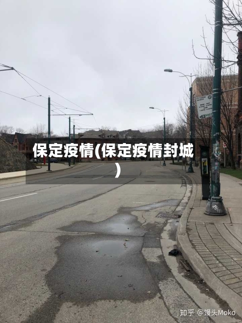 保定疫情(保定疫情封城)-第2张图片