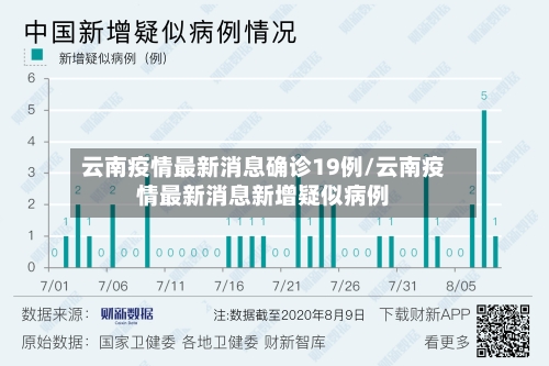 云南疫情最新消息确诊19例/云南疫情最新消息新增疑似病例-第3张图片