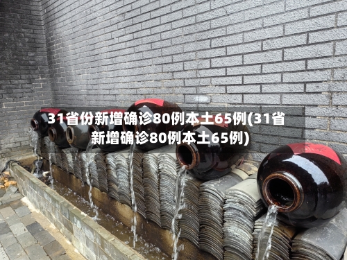 31省份新增确诊80例本土65例(31省新增确诊80例本土65例)-第2张图片