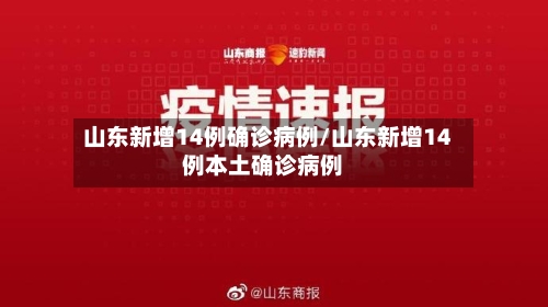山东新增14例确诊病例/山东新增14例本土确诊病例-第2张图片