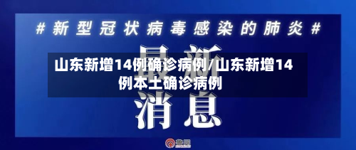 山东新增14例确诊病例/山东新增14例本土确诊病例