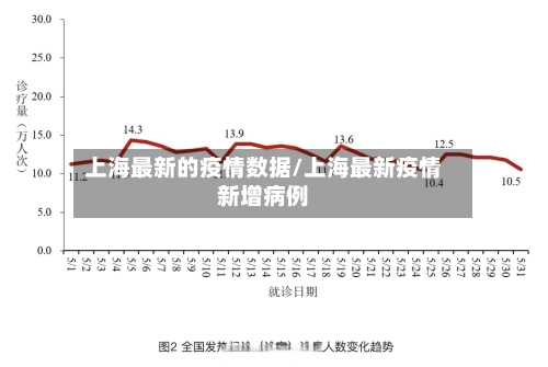 上海最新的疫情数据/上海最新疫情新增病例
