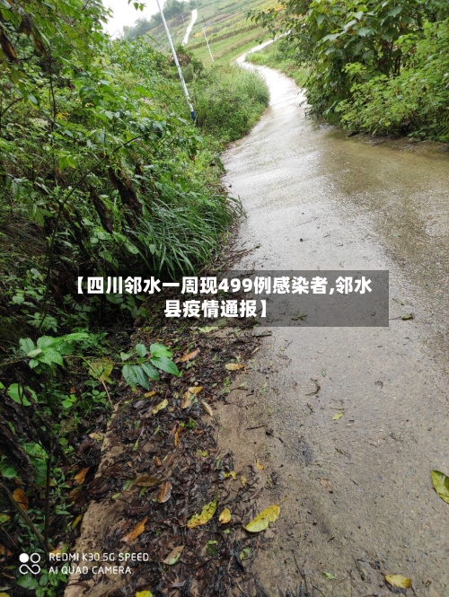 【四川邻水一周现499例感染者,邻水县疫情通报】