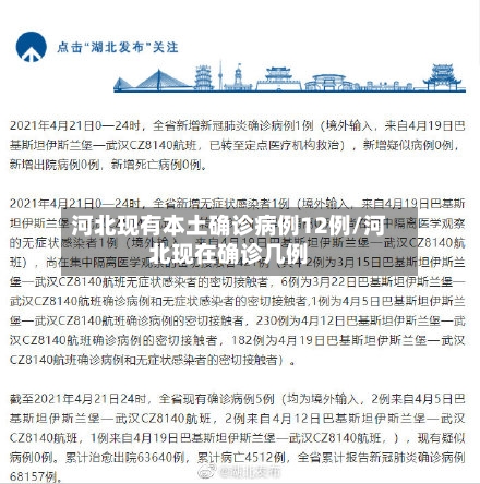 河北现有本土确诊病例12例/河北现在确诊几例