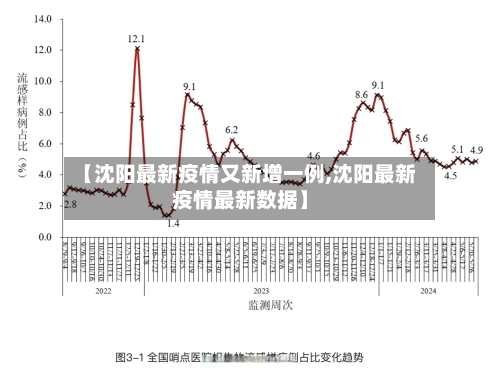 【沈阳最新疫情又新增一例,沈阳最新疫情最新数据】-第3张图片