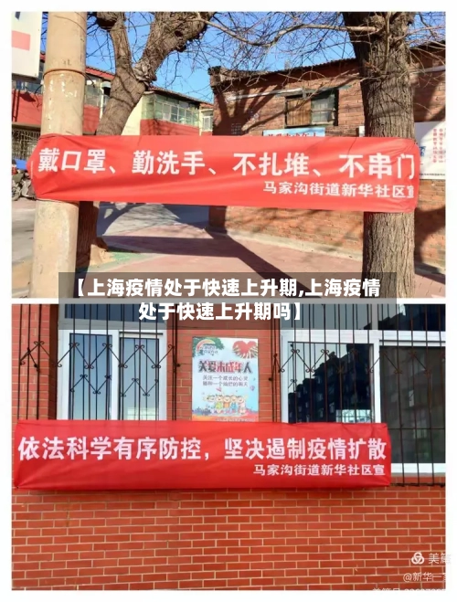 【上海疫情处于快速上升期,上海疫情处于快速上升期吗】-第2张图片