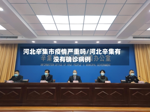 河北辛集市疫情严重吗/河北辛集有没有确诊病例-第2张图片