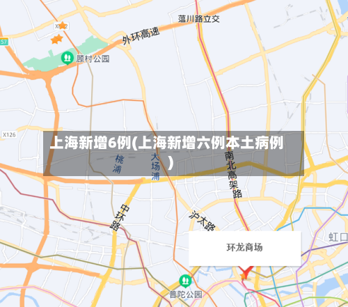 上海新增6例(上海新增六例本土病例)
