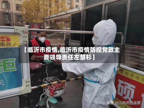 【临沂市疫情,临沂市疫情防控党政主要领导责任左慧杉】-第2张图片