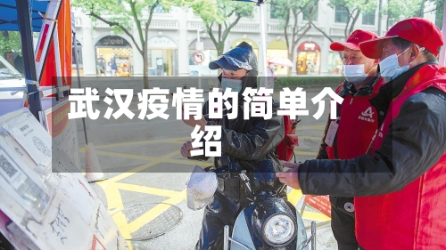 武汉疫情的简单介绍-第2张图片