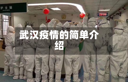 武汉疫情的简单介绍-第3张图片