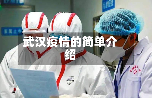 武汉疫情的简单介绍