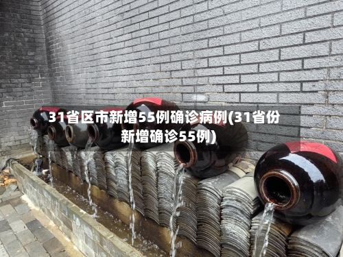 31省区市新增55例确诊病例(31省份新增确诊55例)-第2张图片