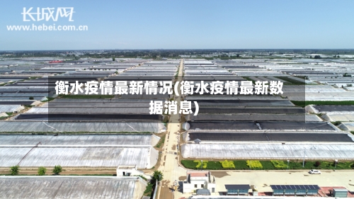 衡水疫情最新情况(衡水疫情最新数据消息)-第2张图片