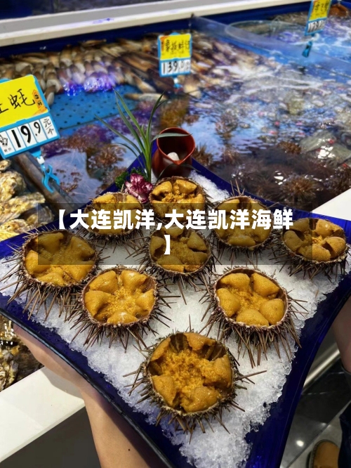 【大连凯洋,大连凯洋海鲜】-第2张图片