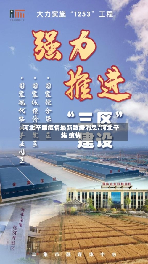 河北辛集疫情最新数据消息/河北辛集 疫情