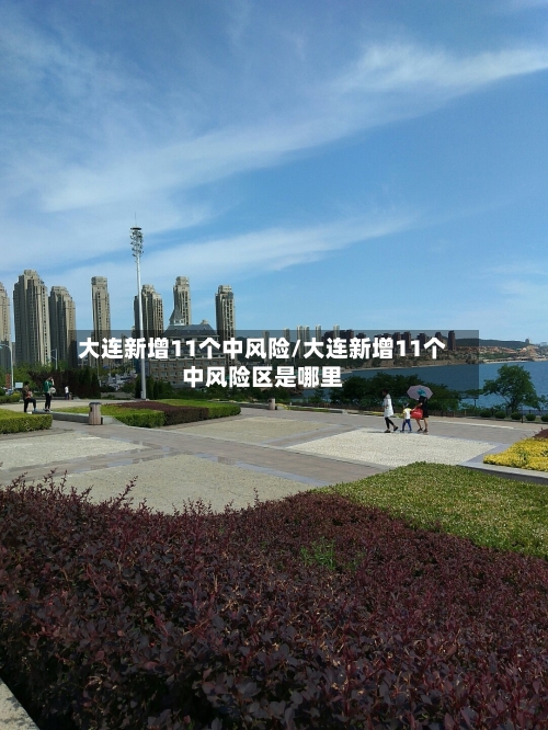 大连新增11个中风险/大连新增11个中风险区是哪里