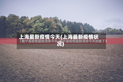 上海最新疫情今天(上海最新疫情状况)-第2张图片