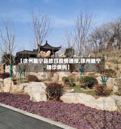 【徐州睢宁县昨日疫情通报,徐州睢宁确诊病例】-第3张图片