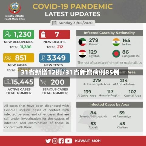 31省新增12例/31省新增病例85例-第2张图片