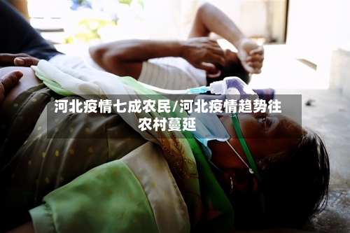 河北疫情七成农民/河北疫情趋势往农村蔓延