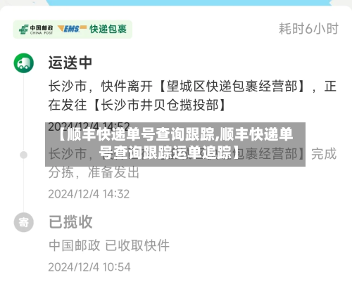 【顺丰快递单号查询跟踪,顺丰快递单号查询跟踪运单追踪】-第2张图片