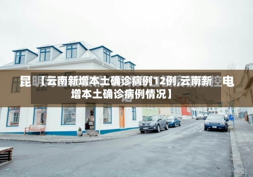【云南新增本土确诊病例12例,云南新增本土确诊病例情况】-第2张图片