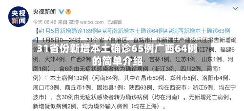 31省份新增本土确诊65例广西64例的简单介绍