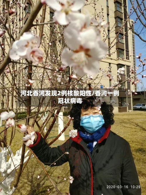 河北香河发现2例核酸阳性/香河一例冠状病毒