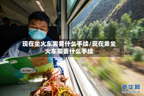 现在坐火车需要什么手续/现在乘坐火车需要什么手续