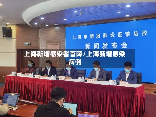 上海新增感染者首降/上海新增感染病例