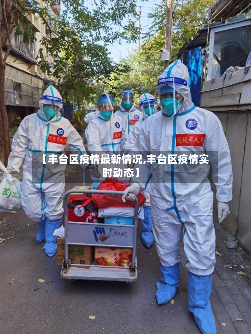 【丰台区疫情最新情况,丰台区疫情实时动态】-第3张图片
