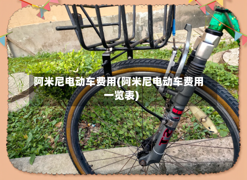 阿米尼电动车费用(阿米尼电动车费用一览表)-第2张图片