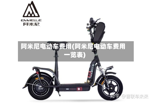 阿米尼电动车费用(阿米尼电动车费用一览表)-第3张图片