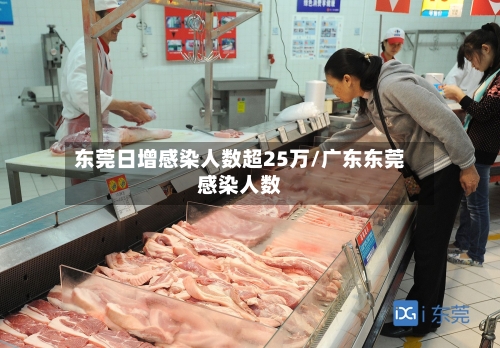 东莞日增感染人数超25万/广东东莞感染人数-第2张图片