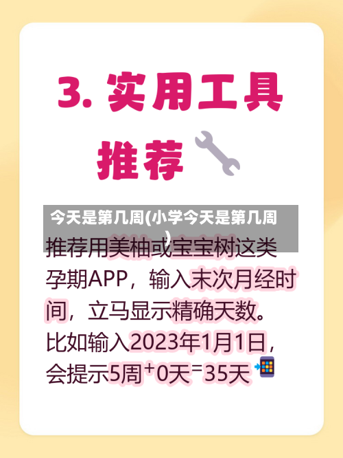 今天是第几周(小学今天是第几周)
